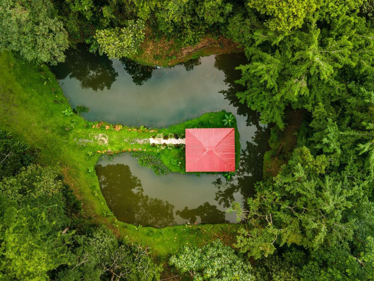 Ara Ambigua Lodge Sarapiquí Dış mekan fotoğraf
