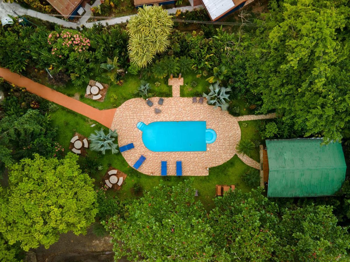 Ara Ambigua Lodge Sarapiquí Dış mekan fotoğraf