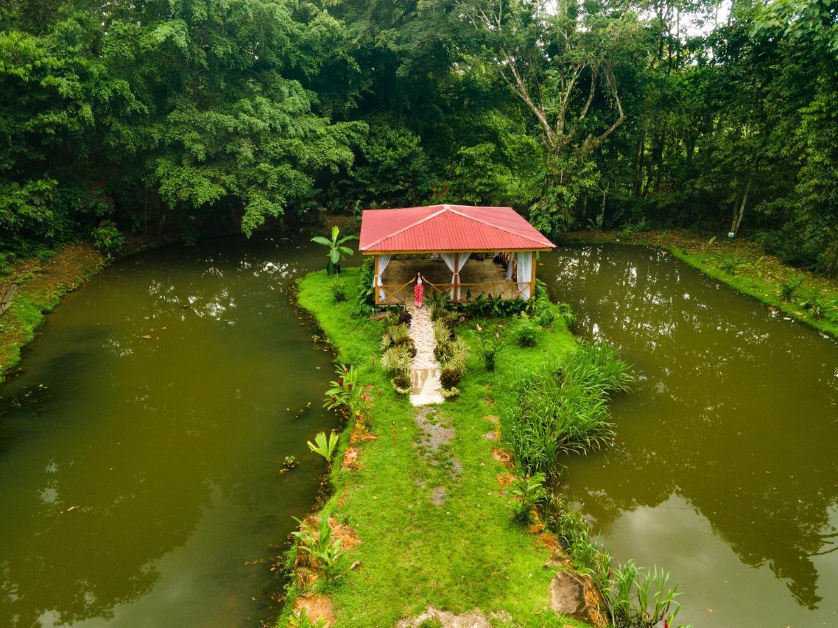 Ara Ambigua Lodge Sarapiquí Dış mekan fotoğraf