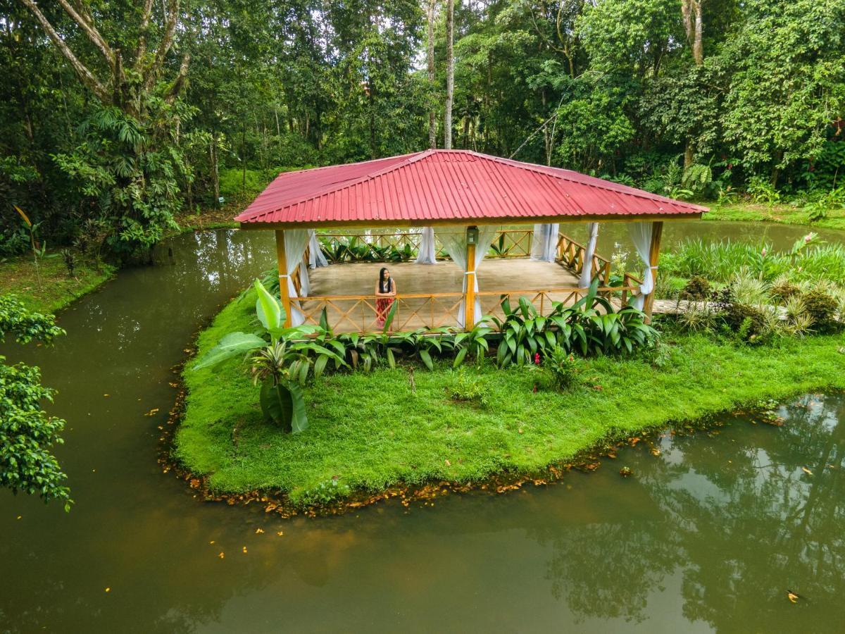 Ara Ambigua Lodge Sarapiquí Dış mekan fotoğraf