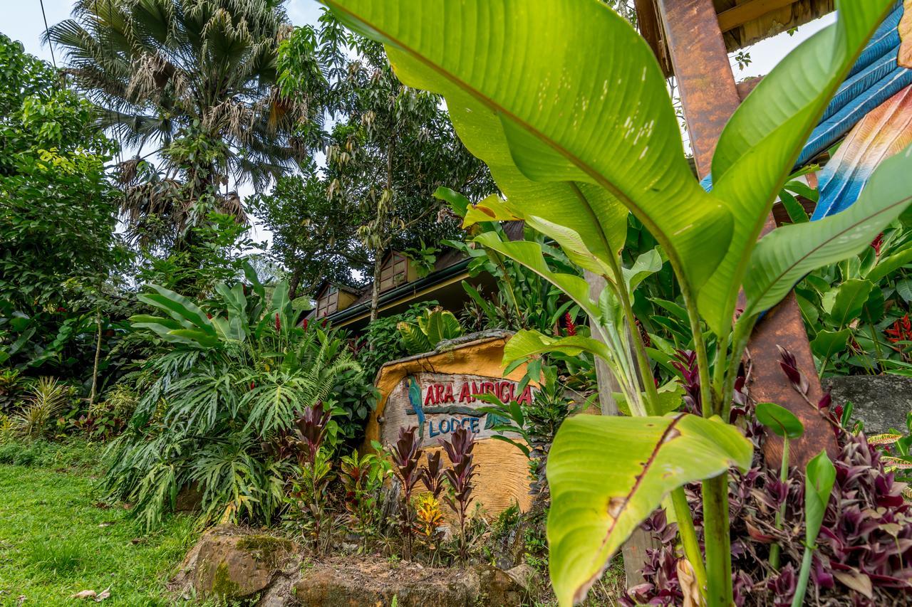 Ara Ambigua Lodge Sarapiquí Dış mekan fotoğraf
